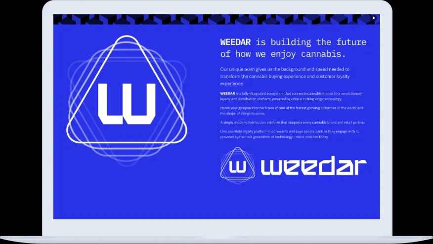 SOFTWARE TESTING SOFTWARE TESTING
